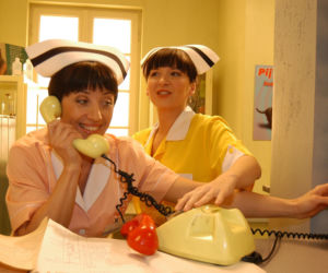 W serialu grali m.in. Anna Przybylska, Katarzyna Cichopek, Joanna Koroniewska, Krzysztof Kowalewski, Hanna Śleszyńska, Paweł Wawrzecki i Piotr Gąsowski.