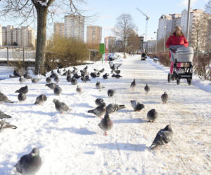 Wróżby pogodowe na rok! Jak dawniej chłopi odczytywali przyszłość z dnia św. Łucji