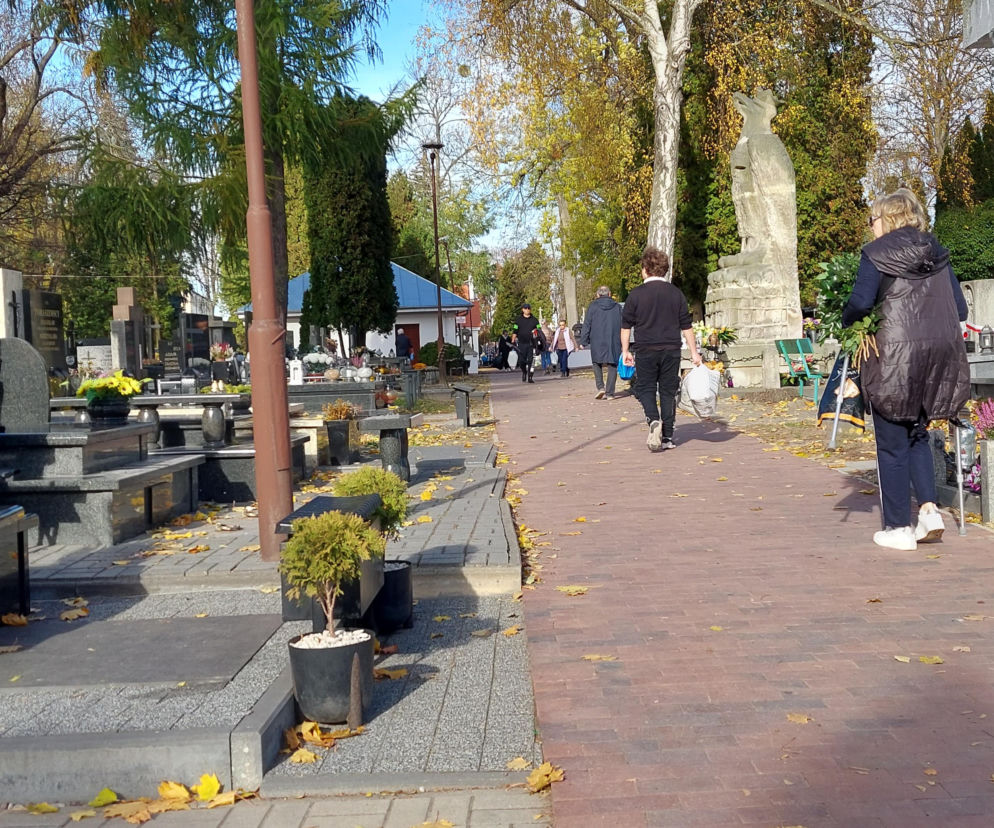 Groby na Wszystkich Świętych. Tak ozdobione będą hitem