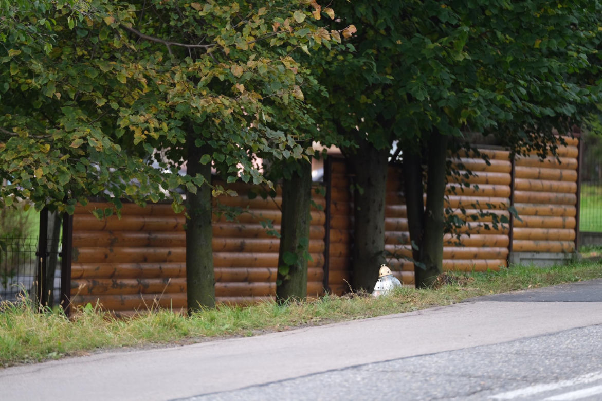 Gilowice: Tak zginęła ciężarna Gosia. Córka w fatalnym stanie [REKONSTRUKCJA ZDARZEŃ]