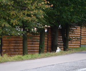 Gilowice: Tak zginęła ciężarna Gosia. Córka w fatalnym stanie [REKONSTRUKCJA ZDARZEŃ]