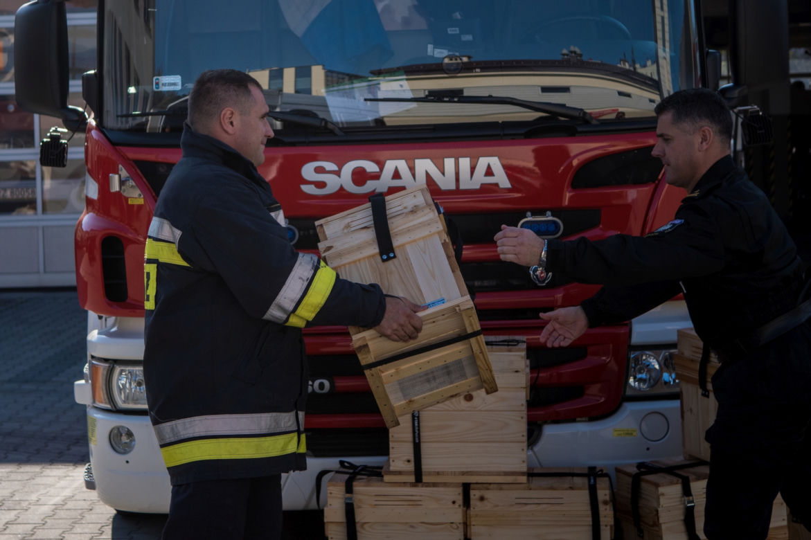 Akcja "Tak dla pszczół" podkarpackich strażaków i Banku Pszczelego