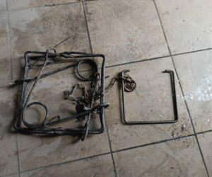 Rolnik z Podlasia bronił swojego bydła. Gdyby nie brat, to by mnie tam zatłukli