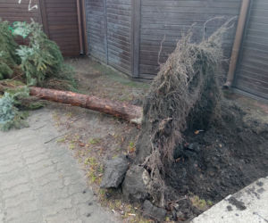 Strażacy walczą ze skutkami wichury - Grudziądz i powiat