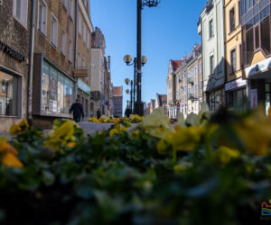 Olsztyn wraca do życia. Mimo epidemii centrum miasta rozkwita
