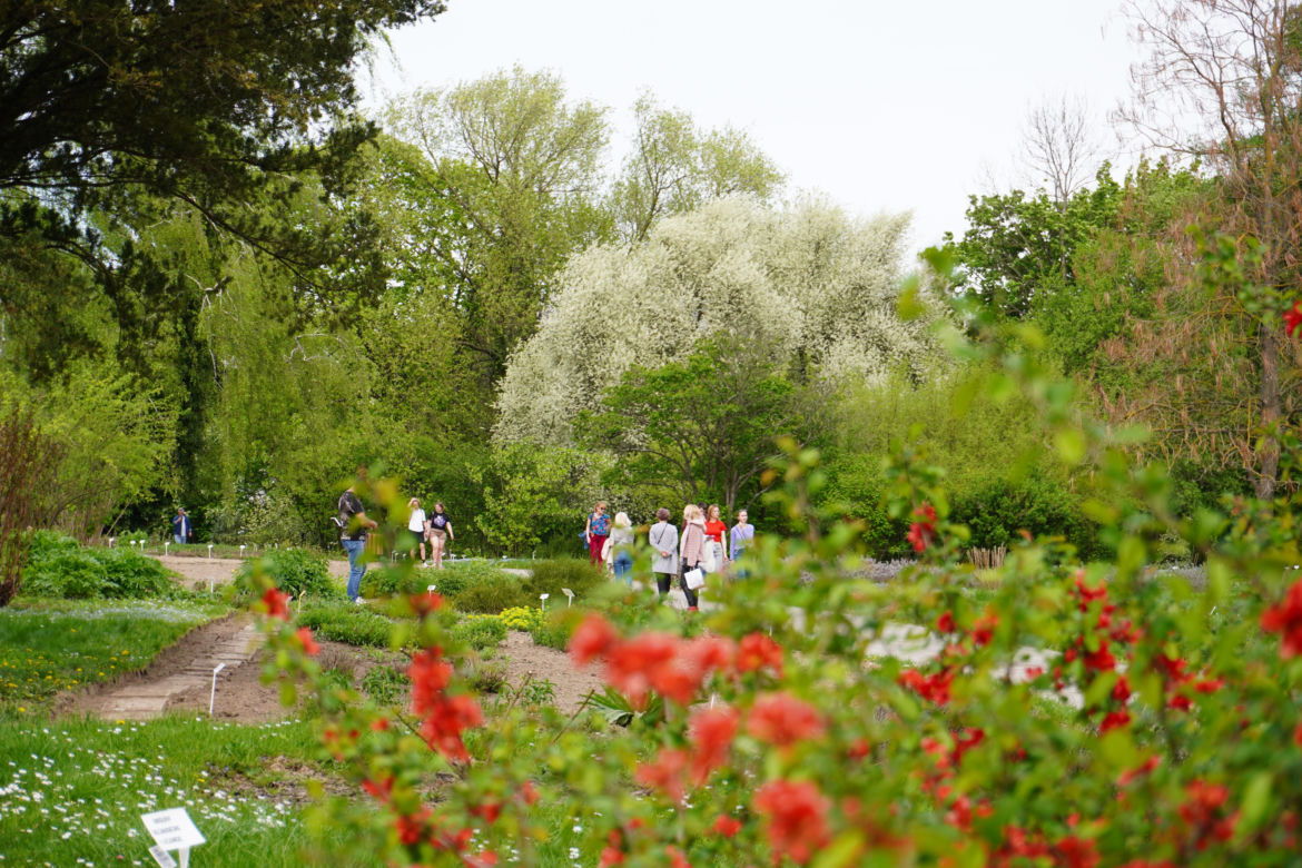 Ogród Botaniczny w Lublinie