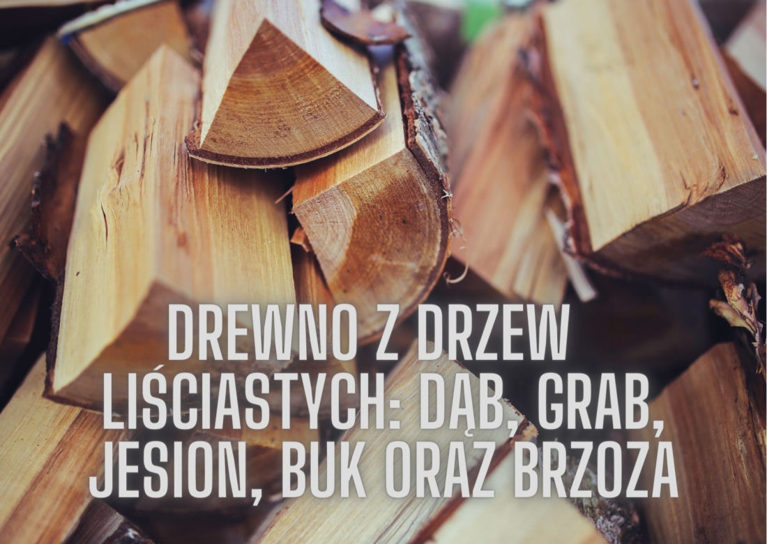 Czym ogrzewamy nasz dom zimą? Rodzaje materiałów opałowych 
