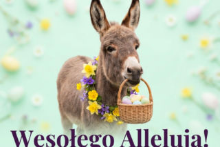 Gify Wielkanocne 2026 – Galeria najpiękniejszych obrazków za darmo