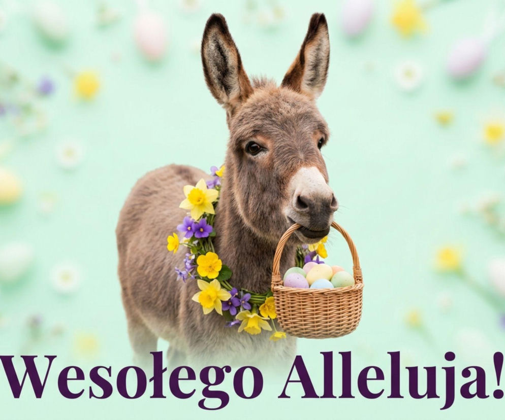 Gify Wielkanocne 2026 – Galeria najpiękniejszych obrazków za darmo