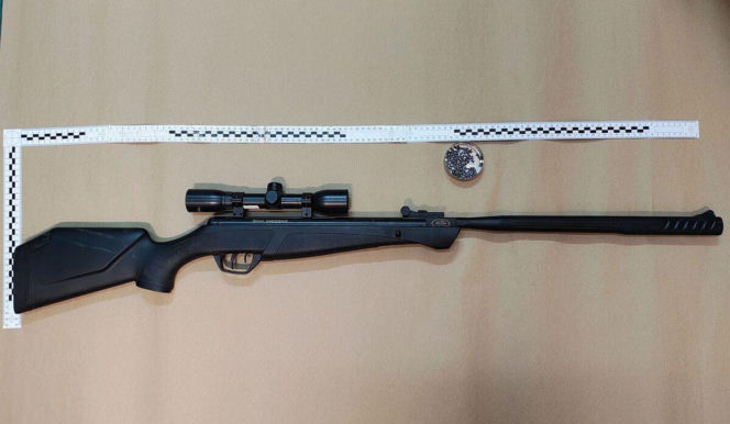 Sadysta strzelał do kota z wiatrówki. Cierpienie zwierzęcia zakończyła eutanazja