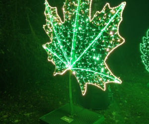 Park Iluminacji w Poznaniu