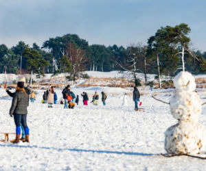 Holandia/ Setki odwołanych lotów, chaos na kolei i rekordowe korki z powodu ataku zimy