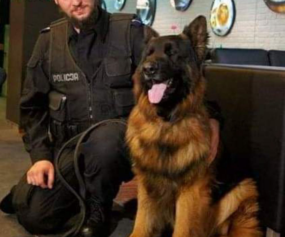 Harry, Boss, Taj - psy z bydgoskiej policji przeszły na emeryturę