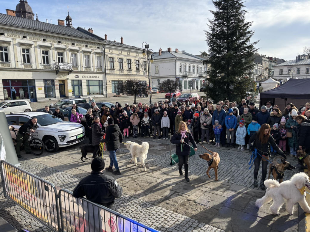 Finał WOŚP w Nowym Sączu 