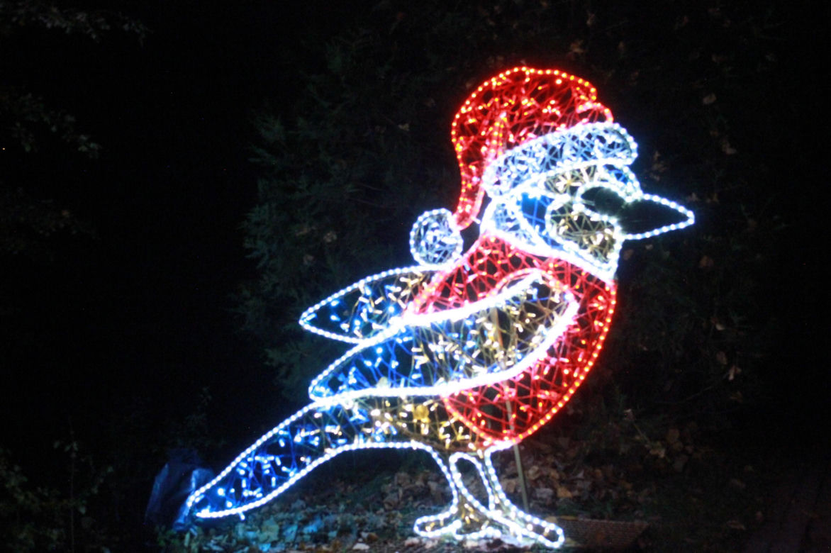 Byliśmy na otwarciu Lumina Park 2024 w Zamku Topacz
