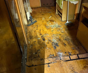 Psy żyły w koszmarnych warunkach