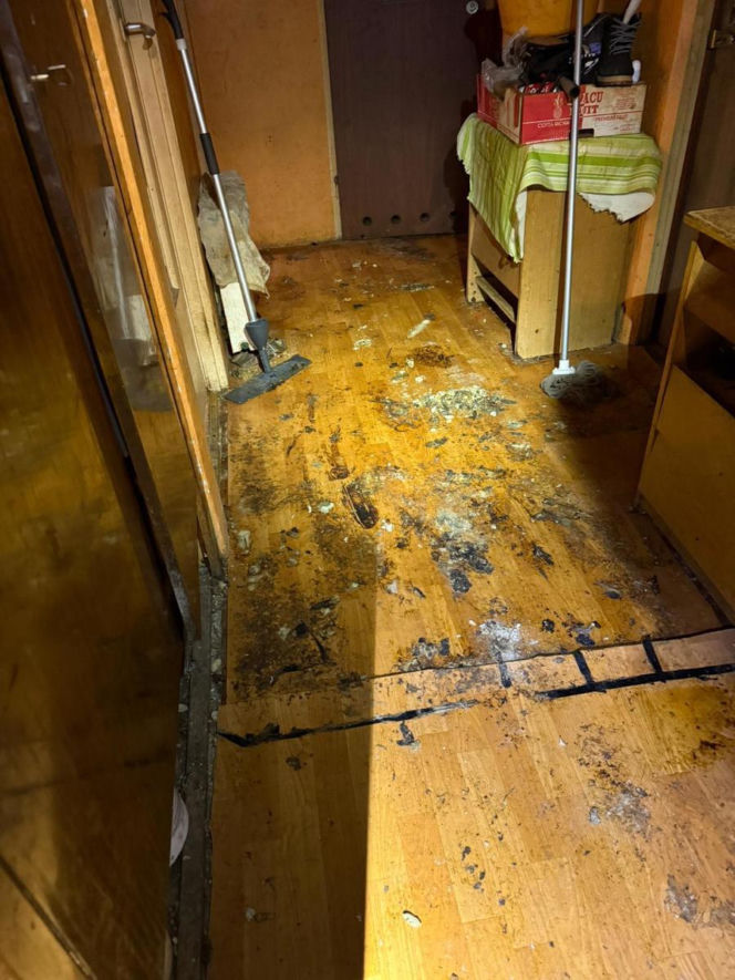 Psy żyły w koszmarnych warunkach