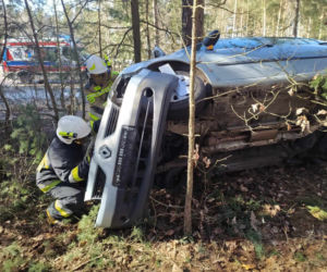 Wypadek na DW 686. Kierowca renault zaparkował między drzewami [ZDJĘCIA]