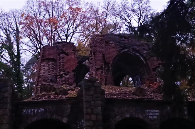 Teren wokół Wieży Quistorpa został uporządkowany