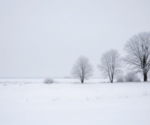 Mróz w Podlaskiem. Czy region czeka arktyczna noc?