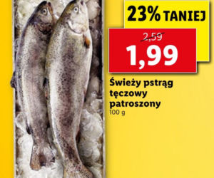 Lidl - promocje na sobotę