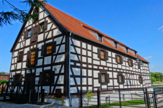 Mają ponad 2,5 tysiąca lat i będzie można je zobaczyć w Bydgoszczy! Wyjątkowe okazy archeologiczne w bydgoskim muzeum [AUDIO]