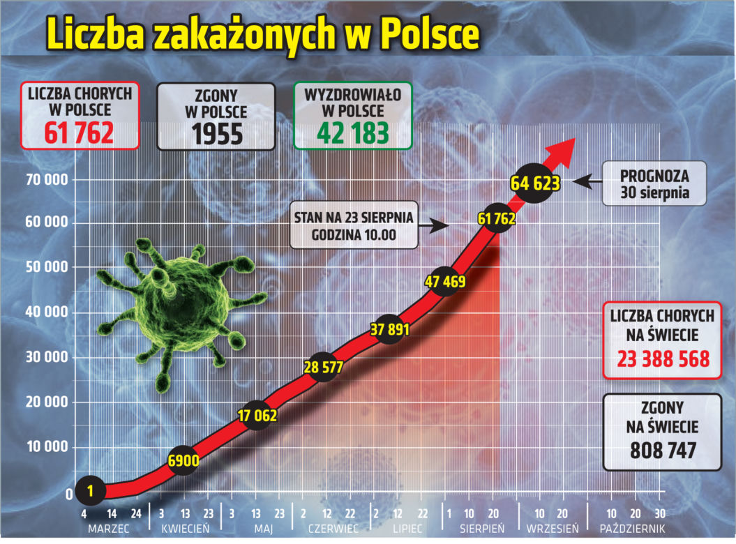 Koronawirus w Polsce. Wykresy 23.08.2020