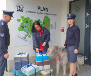 Więźniowie uszyli poduszki dla zwierząt z bydgoskiego schroniska