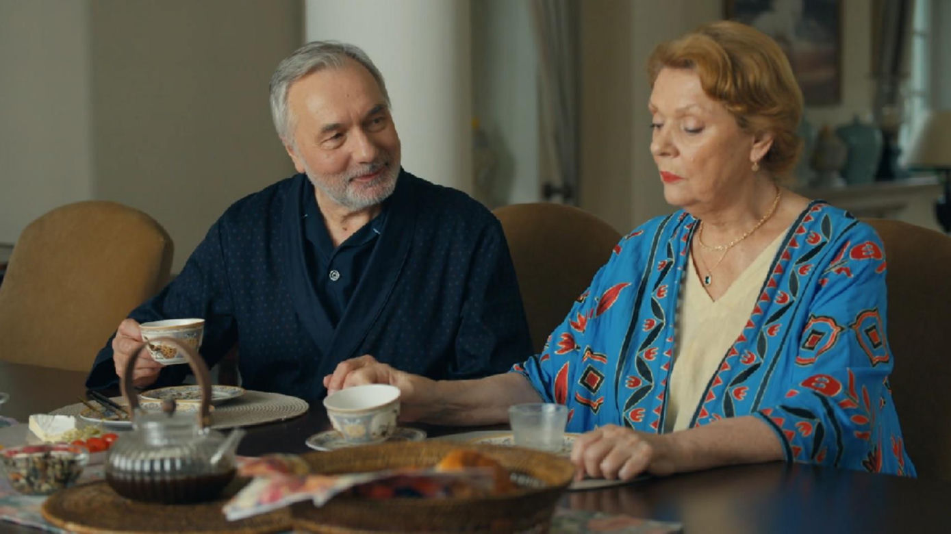 Barwy szczęścia, odcinek 3129. Andrzej (Leon Charewicz), Józefina (Elżbieta Jarosik)