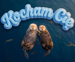 Najlepsze kartki walentynkowe 2026. Życzenia na Walentynki