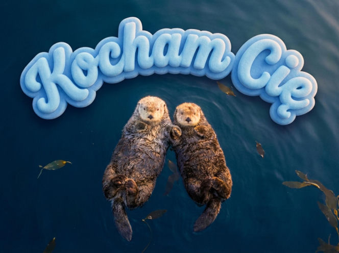 Najlepsze kartki walentynkowe 2026. Życzenia na Walentynki