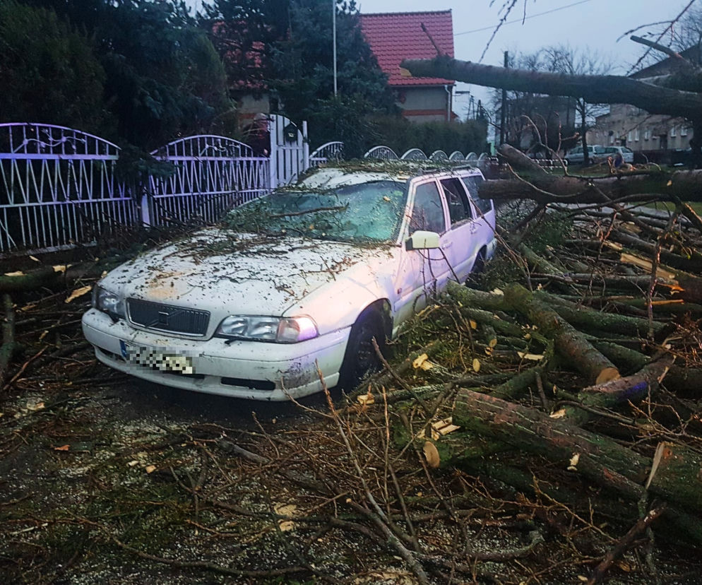 Wichura na Dolnym Śląsku. Uszkodzone dachy, powalone drzewa. Ponad 300 interwencji straży