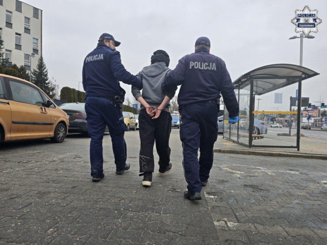 Wnuczek pobił babcię