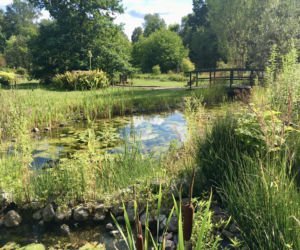 Arboretum w Marculach