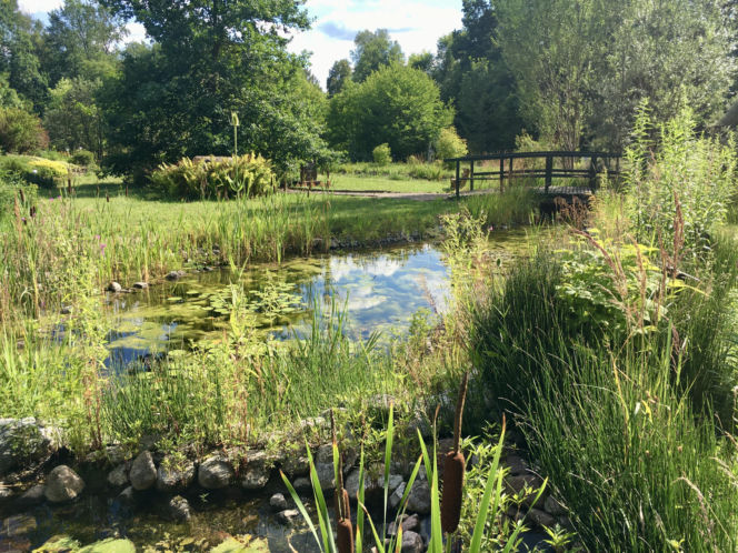 Arboretum w Marculach