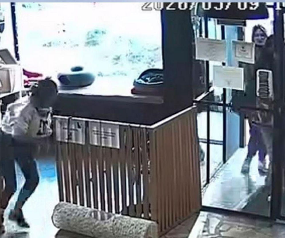 Próbowała ukraść wielkiego kota z kawiarni w Toruniu. Nagranie podbija sieć