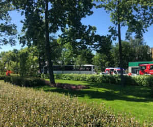 Autobus uderzył w drzewo w Górze Kalwarii