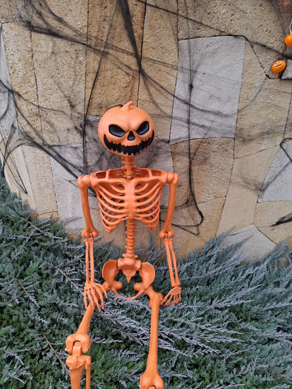Oto najbardziej halloweenowy dom w Świętokrzyskiem!