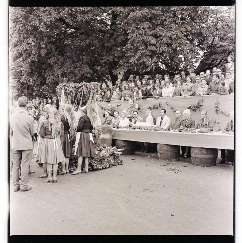 Winobranie w Zielonej Górze w latach 1963-1973. Oto jak bawiono się podczas największego Święta Wina w Polsce