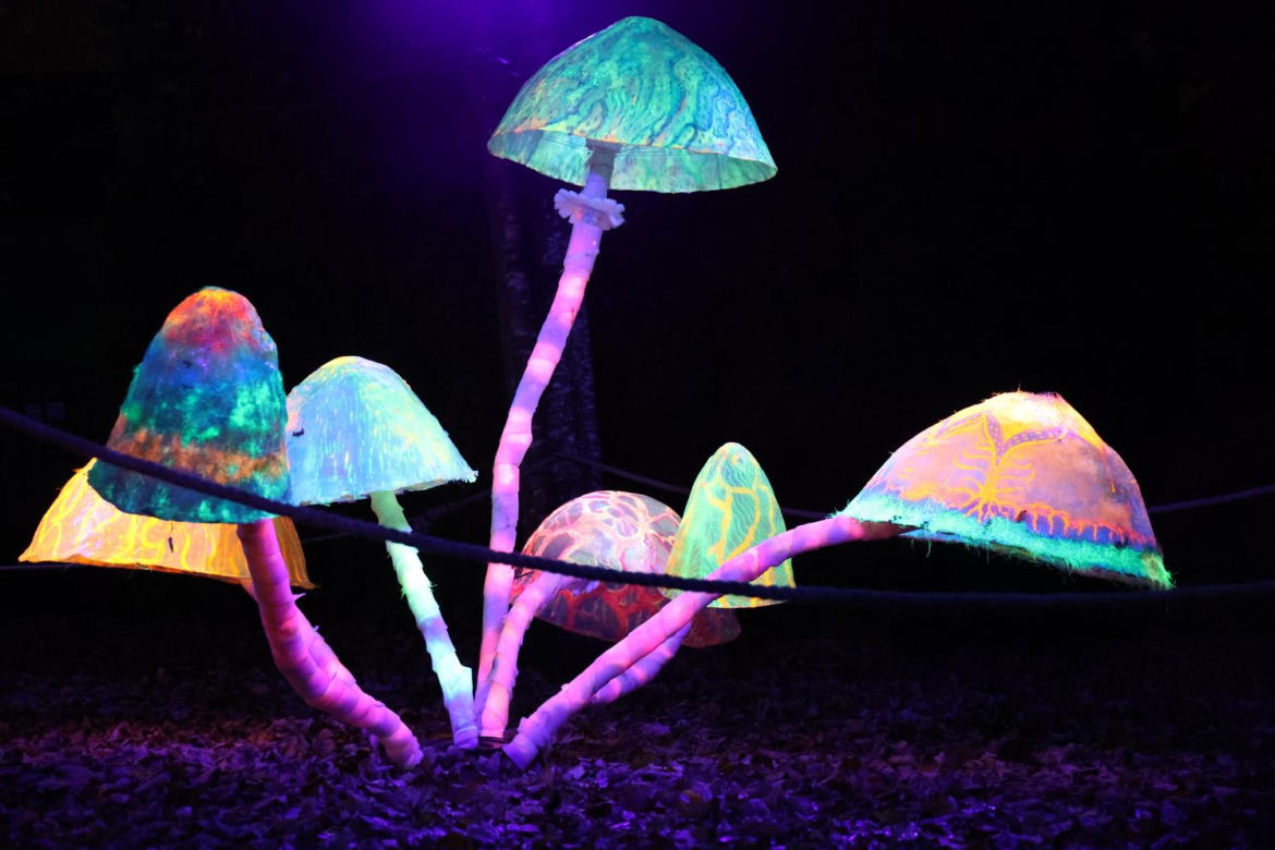 Lumina Park 2023 w Lublinie