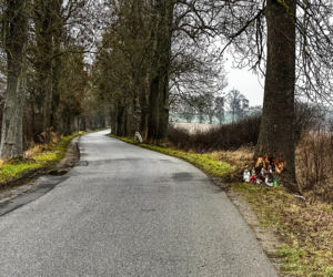 Na zakręcie pojechali prosto, ze sobą wieźli dwa duże psy. Czy któryś z nich ugryzł kierowcę?
