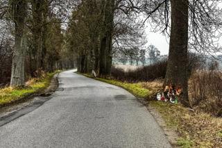 Na zakręcie pojechali prosto, ze sobą wieźli dwa duże psy. Czy któryś z nich ugryzł kierowcę?