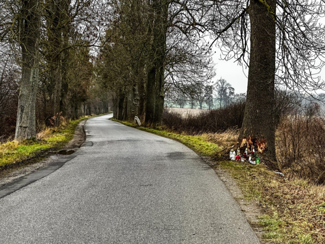 Na zakręcie pojechali prosto, ze sobą wieźli dwa duże psy. Czy któryś z nich ugryzł kierowcę?