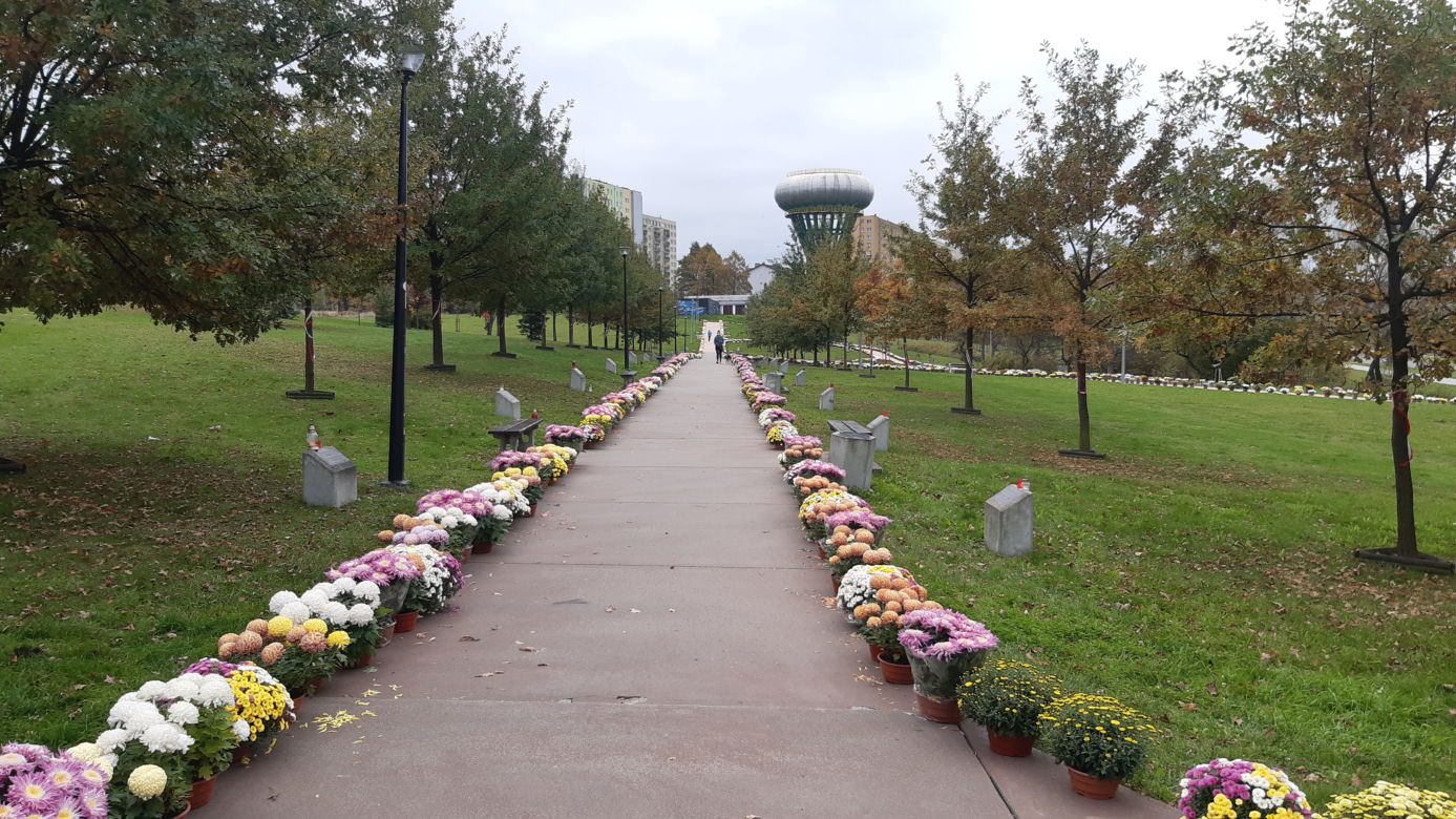Dwa tysiące chryzantem ozdobiło park w Tarnowie