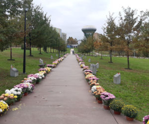 Dwa tysiące chryzantem ozdobiło park w Tarnowie