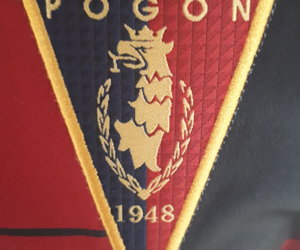 Pogoń