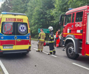 Śmiertelny wypadek w Stykowie na DK 42. Na miejscu zginął 23 letni mężczyzna