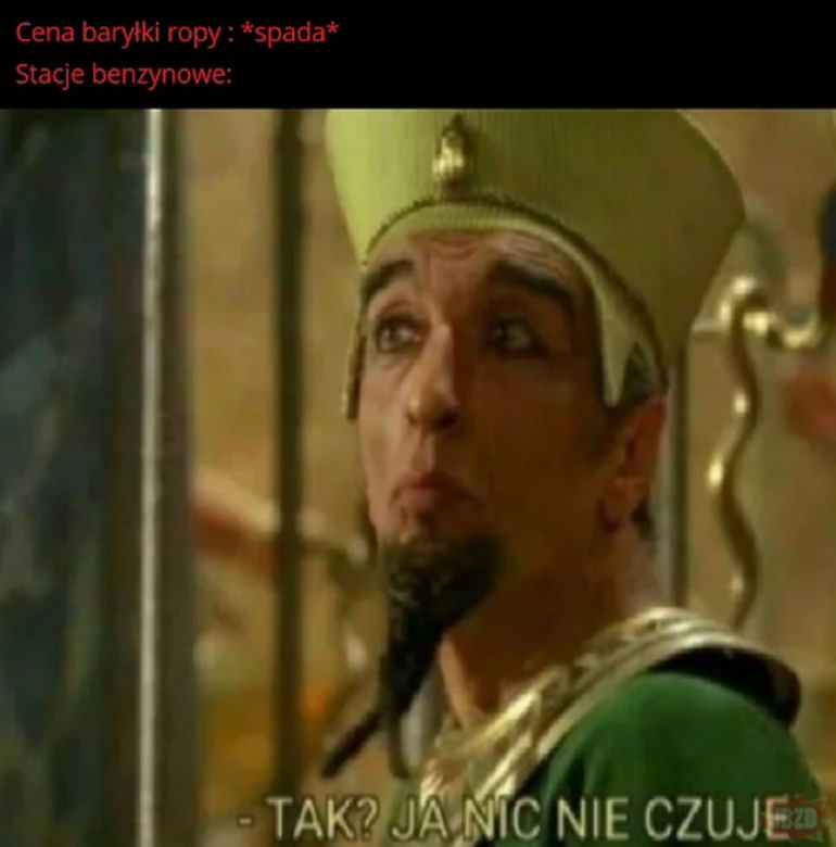Benzyna po 8 zł? Internet komentuje drożyznę