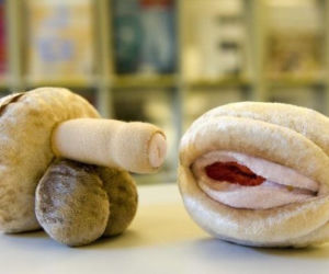 Przedszkole Szwajcaria seks