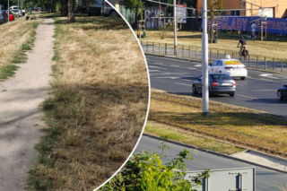 Wrocław jak pustynia! Miasto wysycha na wiór. Przerażające zdjęcia